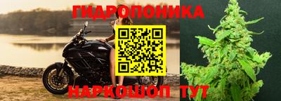 mdpv Пенза