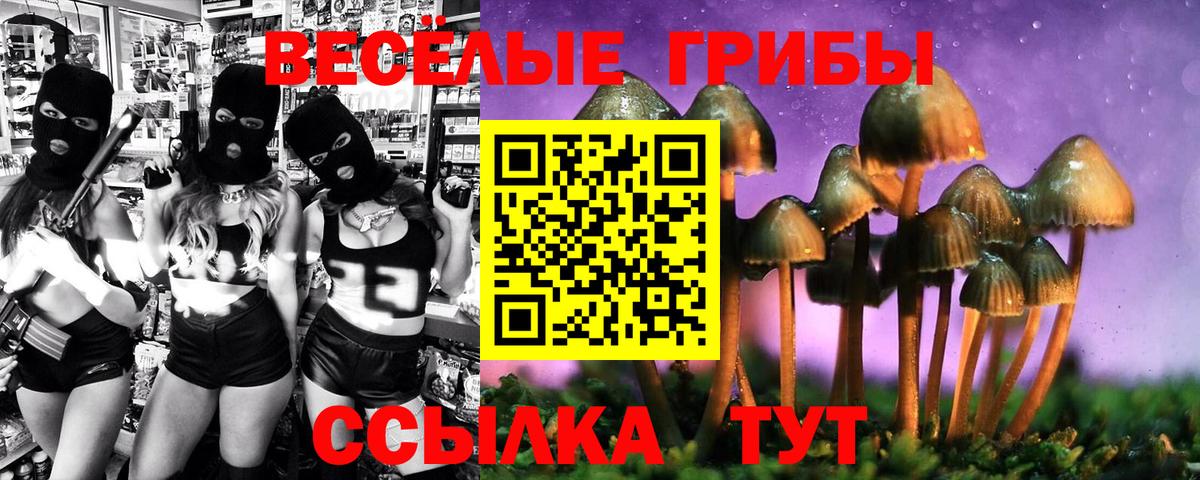 Псилоцибиновые грибы ЛСД  как найти наркотики  Самара  Вход с VPN 
