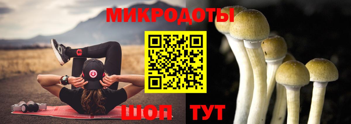 Галлюциногенные грибы мицелий Самара